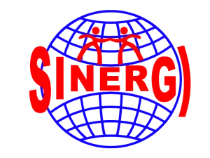 PT. Mitra Sinergi Sukses